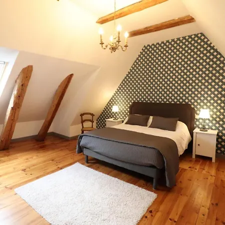 Maison De Maitre Renovee Avec Jardin, Cheminee Et Wi-fi Pres De Super-lioran - Fr-1-742-26 Feriehus Laveissière