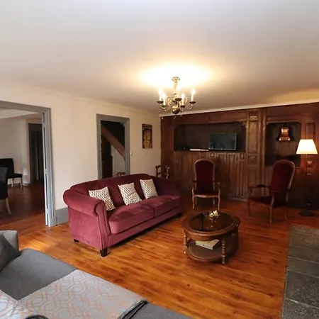 Maison De Maitre Renovee Avec Jardin, Cheminee Et Wi-fi Pres De Super-lioran - Fr-1-742-26