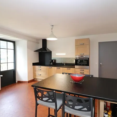 Feriehus Maison De Maitre Renovee Avec Jardin, Cheminee Et Wi-fi Pres De Super-lioran - Fr-1-742-26