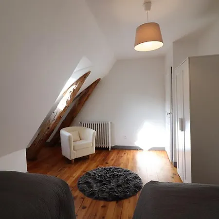 Feriehus Maison De Maitre Renovee Avec Jardin, Cheminee Et Wi-fi Pres De Super-lioran - Fr-1-742-26